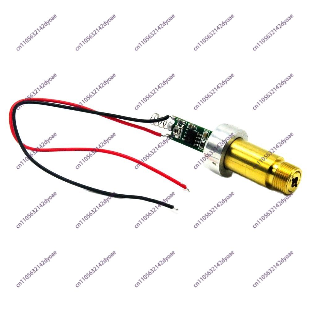 Módulo de Diodo Láser de Rayo  - Industrial Green Laser Pointer reseña y precio